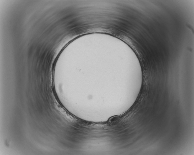 X0000102251140200808221347