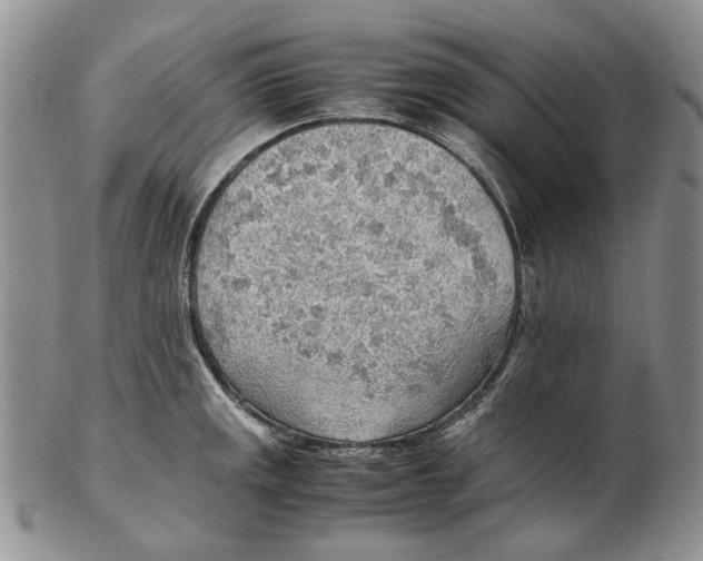 X0000102251141200808221347