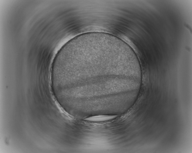 X0000102251144200808221347