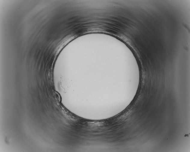 X0000102251145200808221347