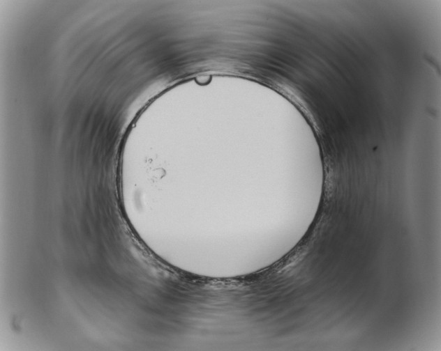 X0000102251146200808221347