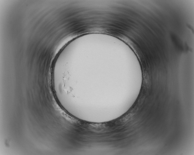 X0000102251147200808221347