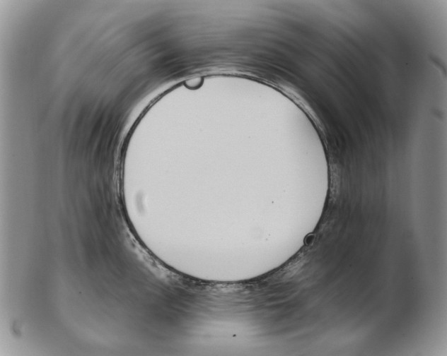 X0000102251148200808221347