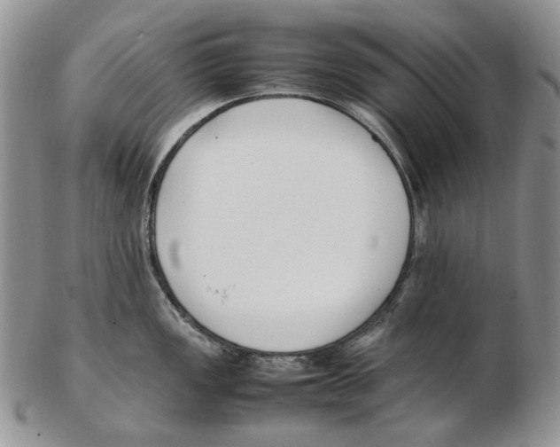 X0000102251149200808221347
