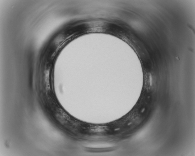 X0000102251150200808221347
