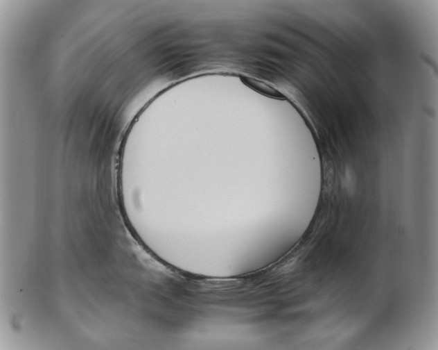X0000102251151200808221347