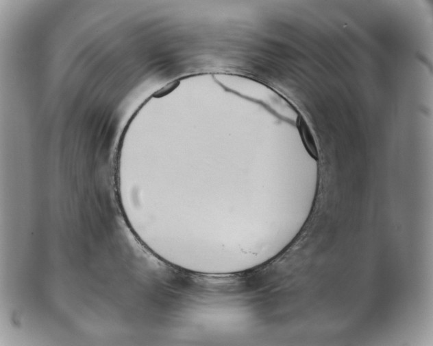 X0000102251152200808221347