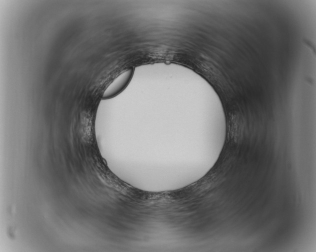X0000102251154200808221346