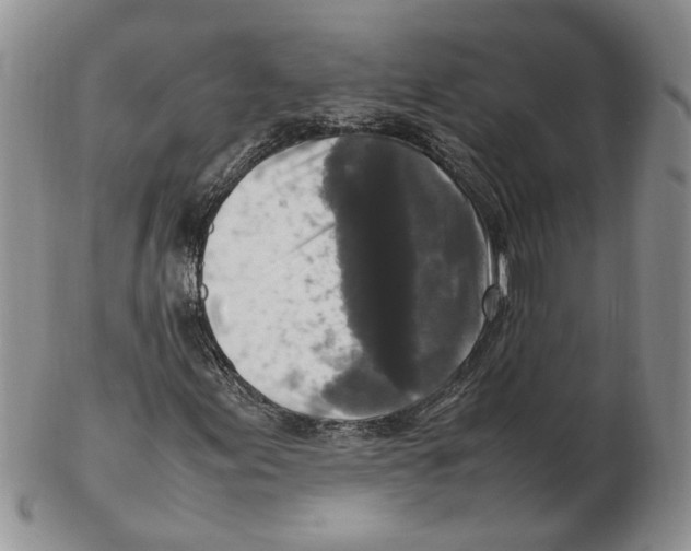 X0000102251155200808221346