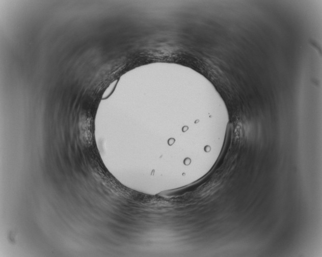 X0000102251156200808221346