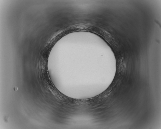 X0000102251158200808221346