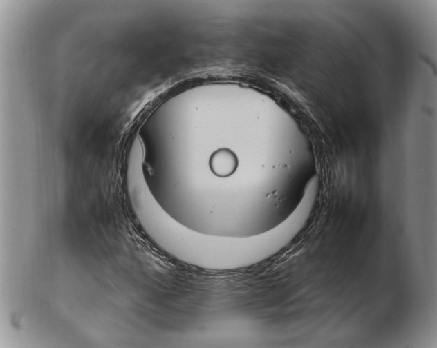 X0000102251160200808221346