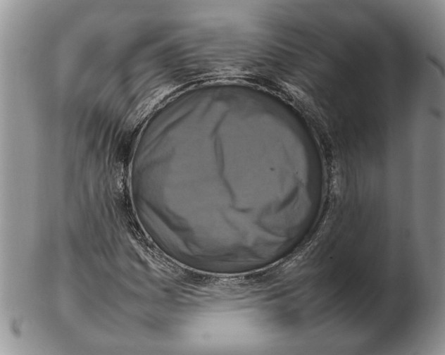 X0000102251161200808221346