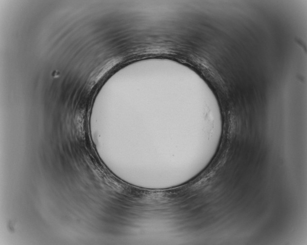 X0000102251162200808221346