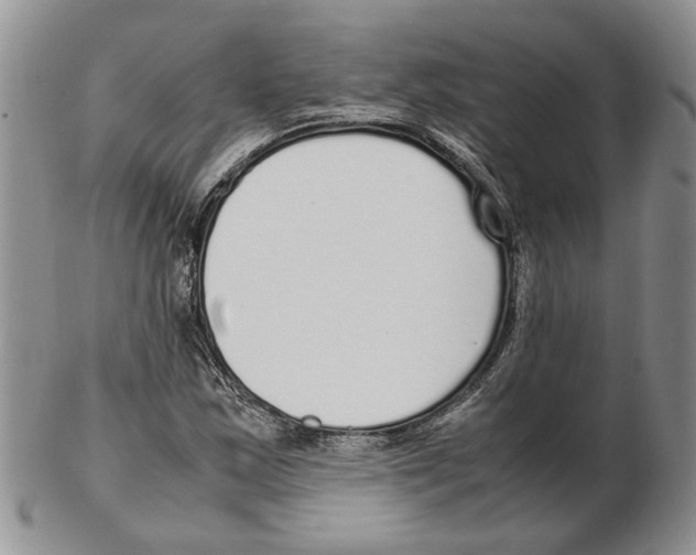 X0000102251163200808221346