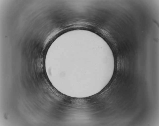 X0000102251164200808221346