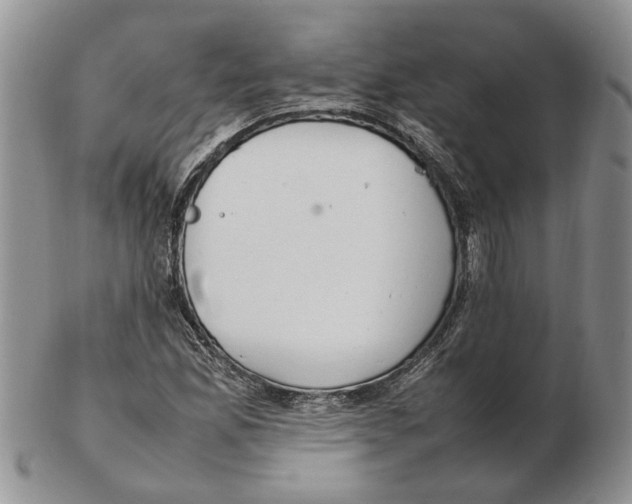 X0000102251165200808221346