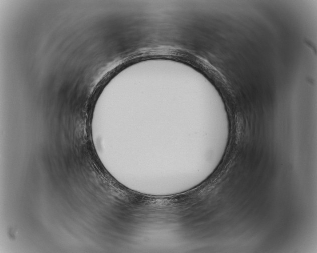 X0000102251166200808221346