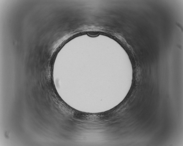 X0000102251167200808221346