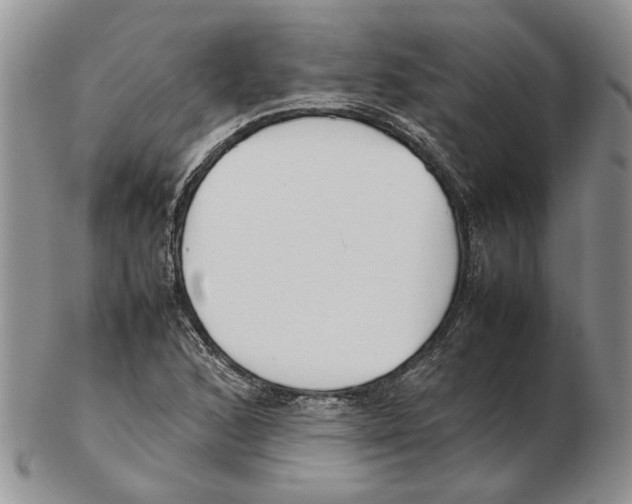 X0000102251168200808221346