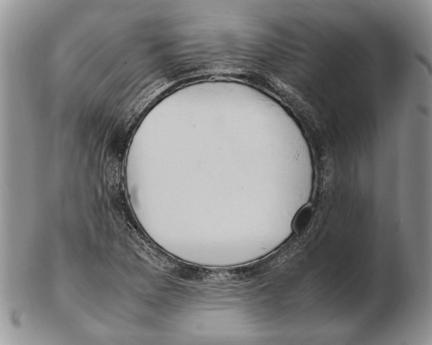 X0000102251169200808221346