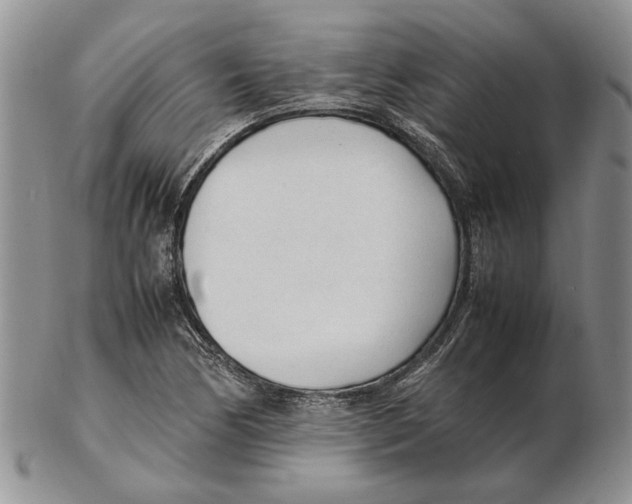 X0000102251170200808221346