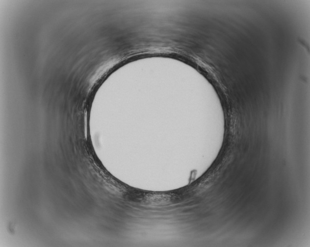X0000102251171200808221346