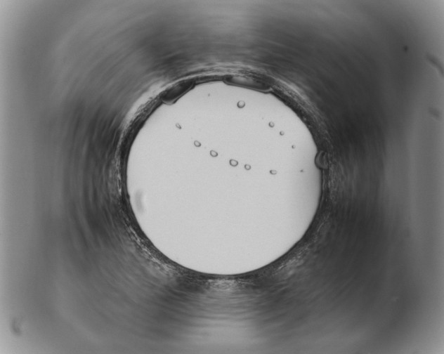 X0000102251172200808221346