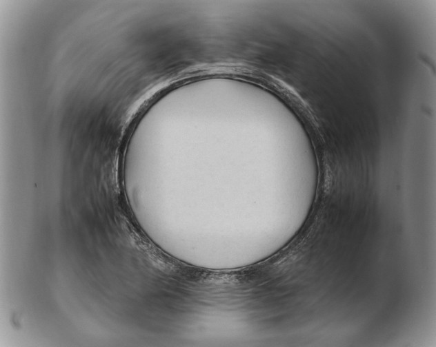 X0000102251174200808221346