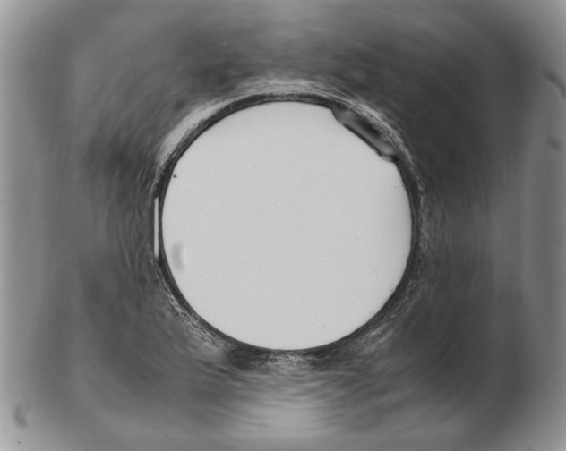 X0000102251175200808221346