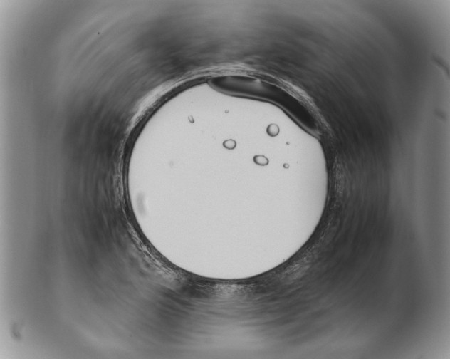 X0000102251176200808221346
