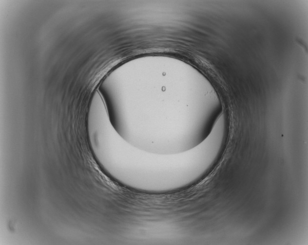 X0000102251177200808221346