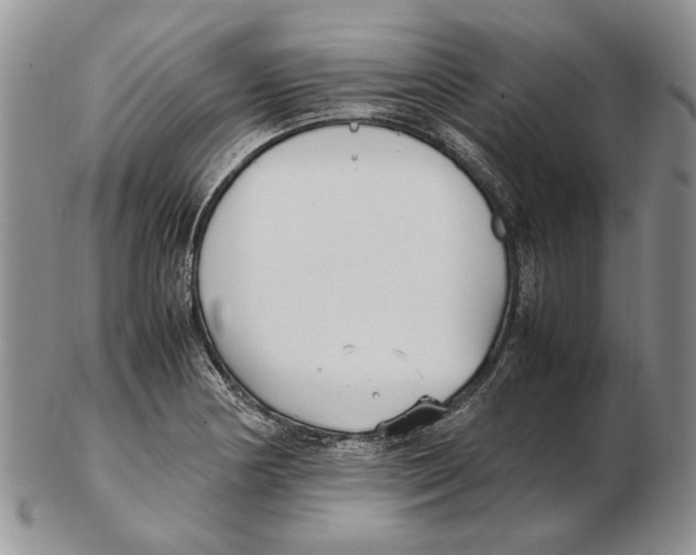 X0000102251178200808221346