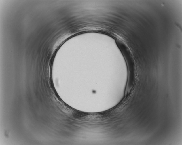 X0000102251179200808221346