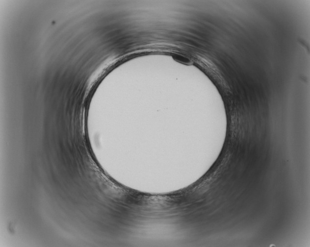 X0000102251180200808221346