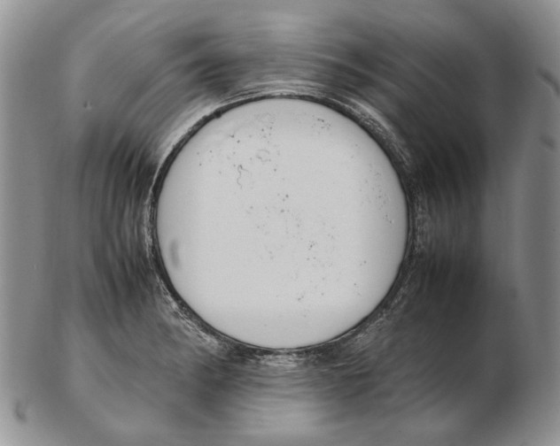 X0000102251182200808221346