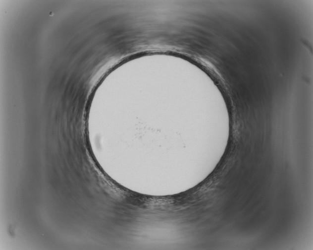 X0000102251183200808221346