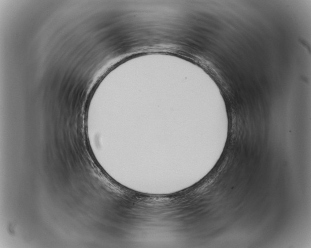 X0000102251184200808221346