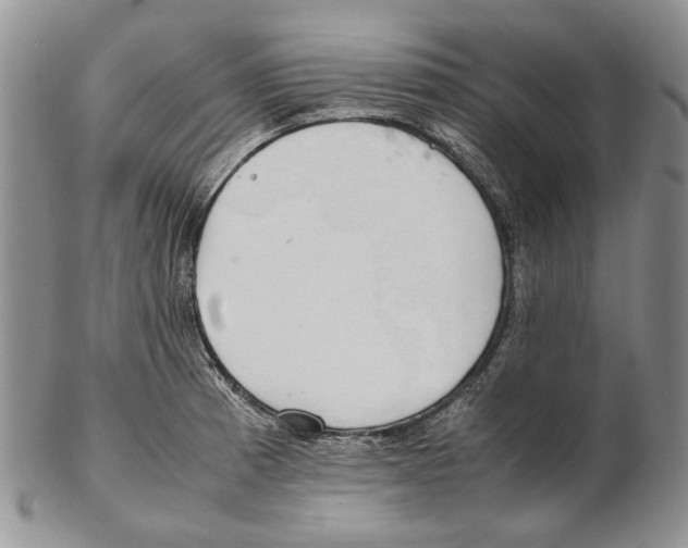 X0000102251185200808221346