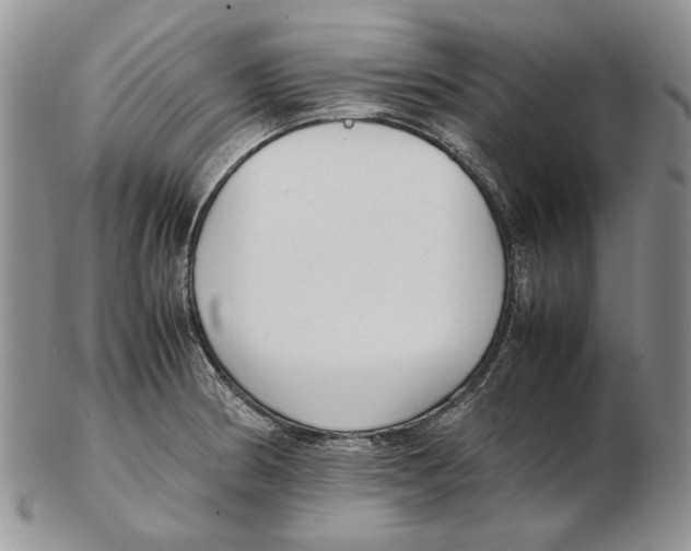 X0000102251186200808221346