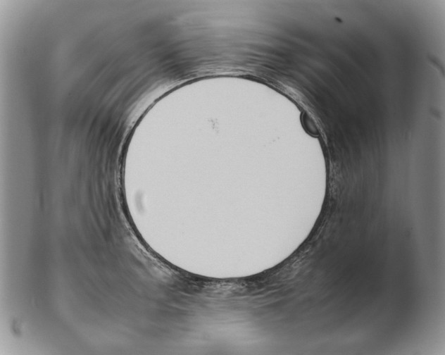 X0000102251187200808221346