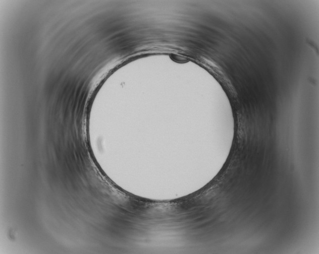 X0000102251188200808221346