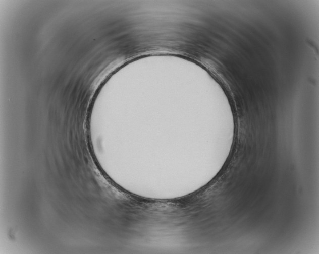 X0000102251189200808221346