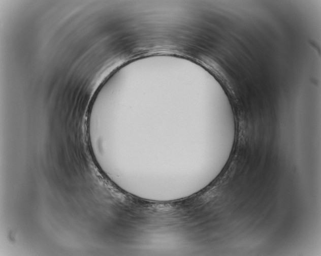 X0000102251190200808221346