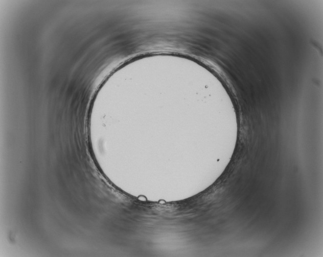 X0000102251191200808221346