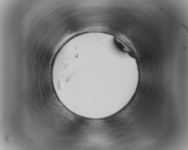 X0000102251192200808221346