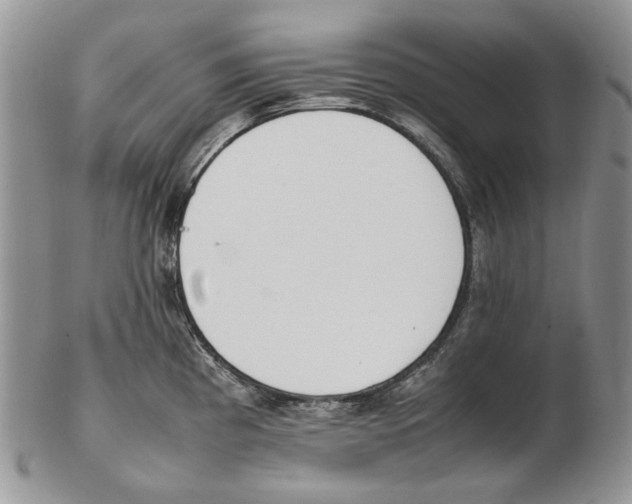 X0000102251193200808221346