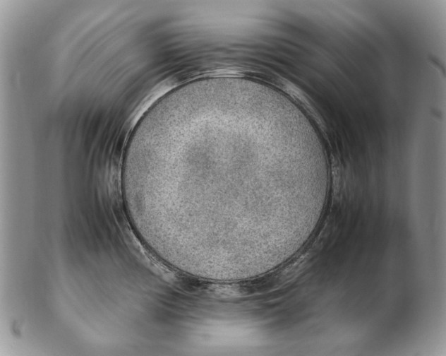 X0000102251194200808221346