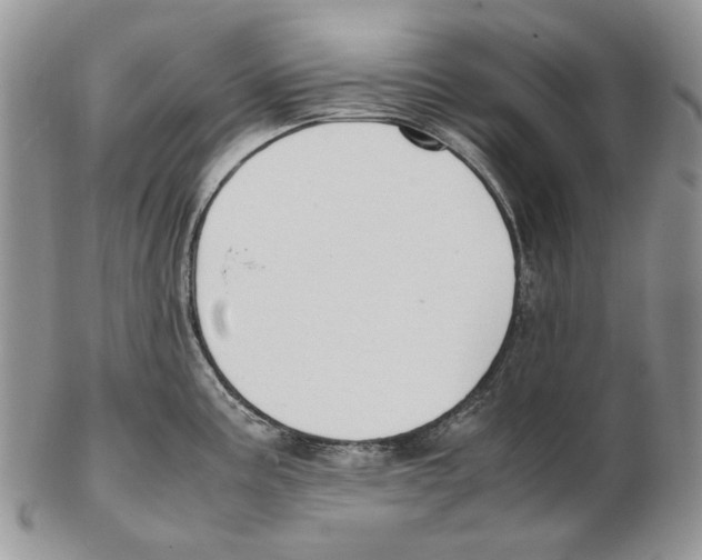 X0000102251195200808221346