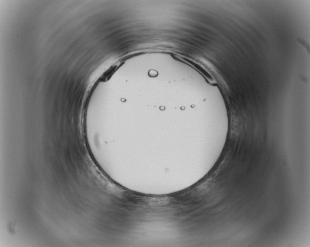 X0000102251196200808221346